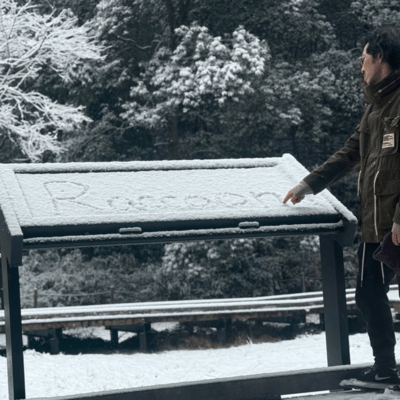 Raccoonのジャケット写真