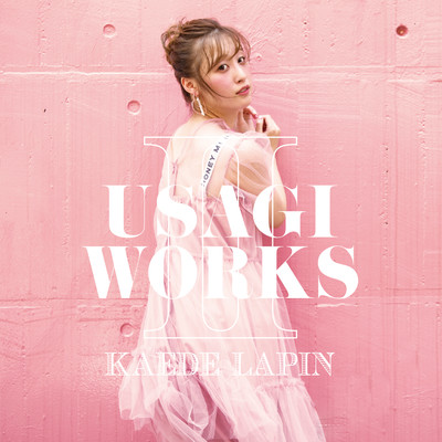 USAGI WORKSⅡのジャケット写真