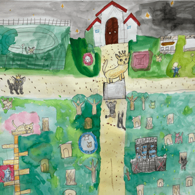 A town full of cats Front Cover