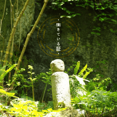 Living Proof Front Cover