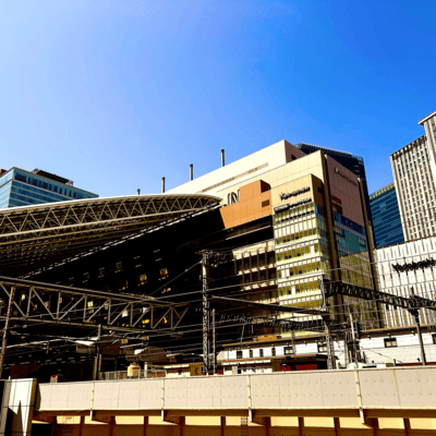 サイケデリック感情戦のジャケット写真