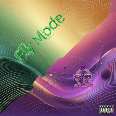 Fly Mode / Gold (Remix) Front Cover