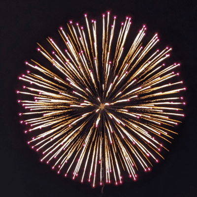 Shirakamiのジャケット写真