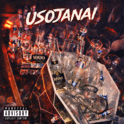 USOJANAI (feat. 刻sick)のジャケット写真