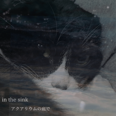 in the sinkのジャケット写真