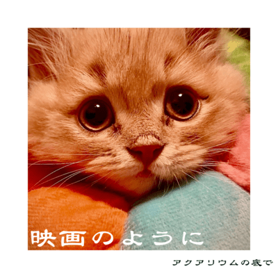 映画のようにのジャケット写真