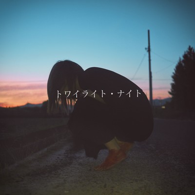 twilight night Front Cover