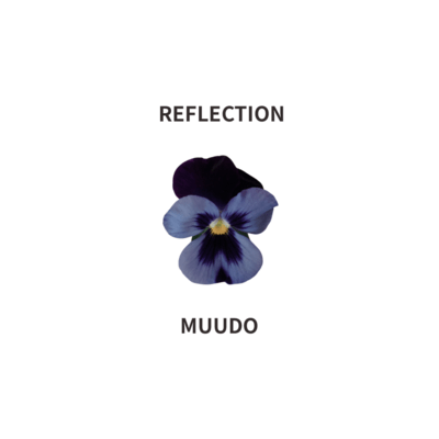 REFLECTION Front Cover