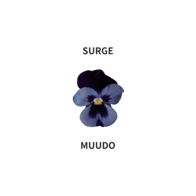 SURGE Front Cover