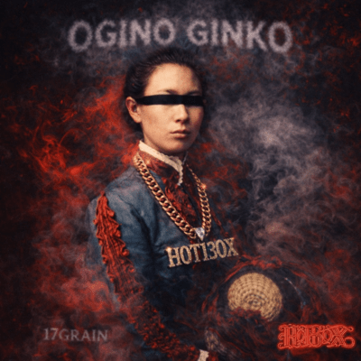 OGINO GINKO Front Cover