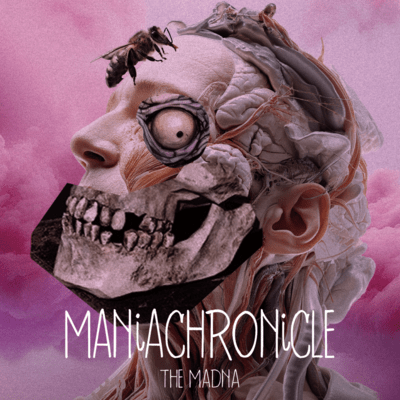 MANiACHRONiCLE Front Cover