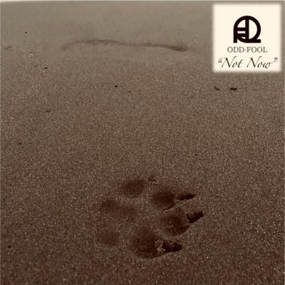 Not Now Front Cover