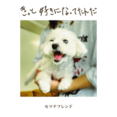 きっと好きになってたんだのジャケット写真