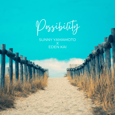 Possibilityのジャケット写真