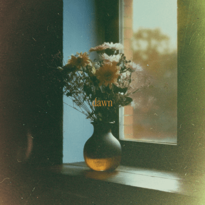 dawn Front Cover