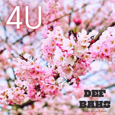 4U Front Cover