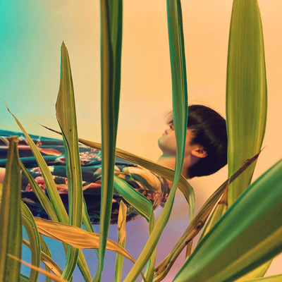 Angelfish (Chorus Version) Front Cover