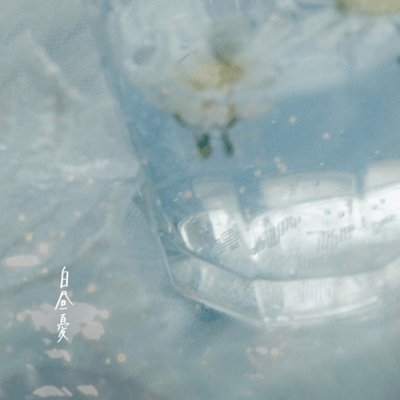 白昼憂のジャケット写真