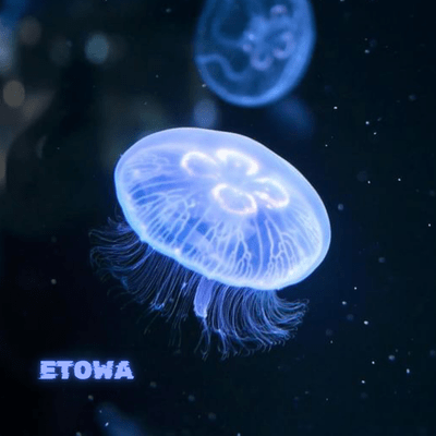 anatatotomoni Front Cover