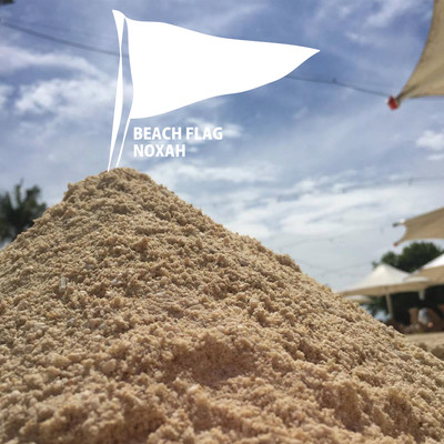 Beach Flag Front Cover