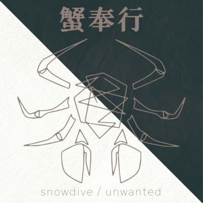 snowdive / unwanted Front Cover
