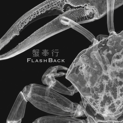 flashback Front Cover