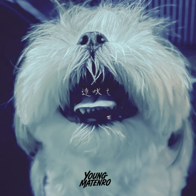 Howl Front Cover