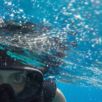 Millenial Summer Dialogのジャケット写真