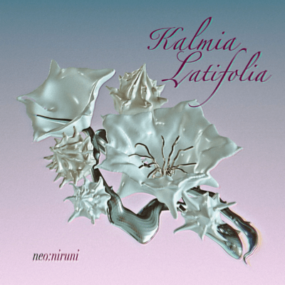 Kalmia Latifolia Front Cover