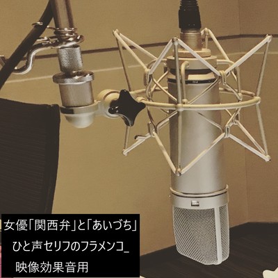 Actress "Kansai dialect" and "backchanneling" one-line dialogue for flamenco video sound effects. (feat. HIDEK) Front Cover