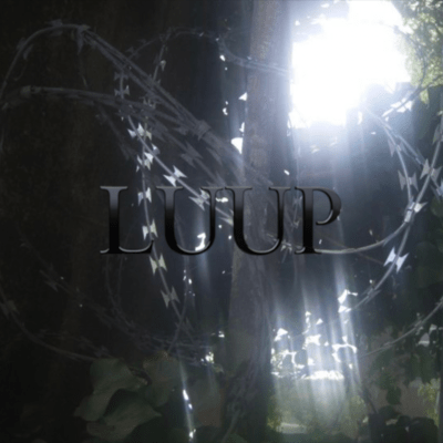 LUUPのジャケット写真