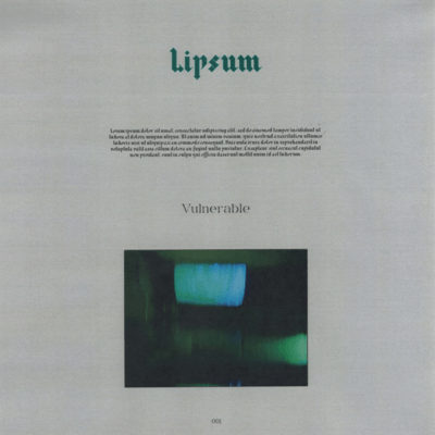 Vulnerable Front Cover