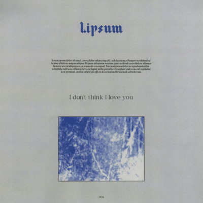 I don't think I love you Front Cover