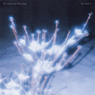 Freezing and Thawing (in a forest) Front Cover