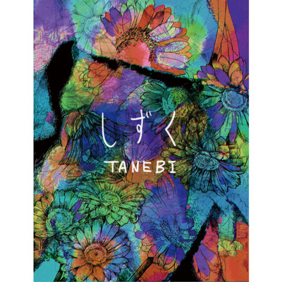 SHIZUKU Front Cover
