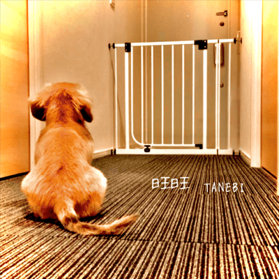 旺旺のジャケット写真