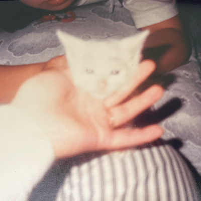 ふみやのジャケット写真