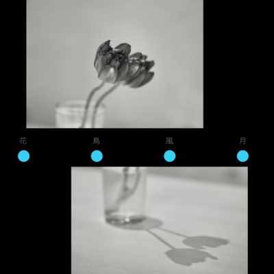 Kachofugetsu (feat. microM) Front Cover