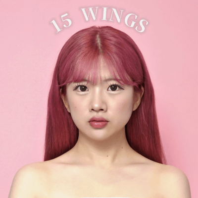 15 WINGS Front Cover