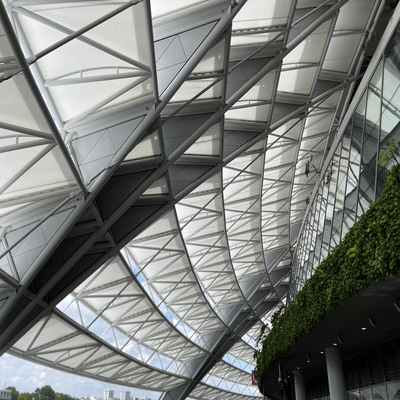 あなたの近くにのジャケット写真