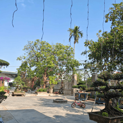 川辺で待つのジャケット写真