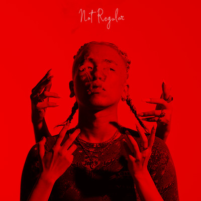 NOT REGULAR Front Cover