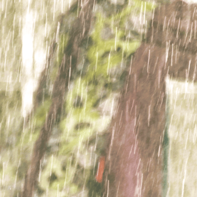 Zazaza, (feat. Sumie Kaneko, Reison Kuroda & Marie Suga) Front Cover