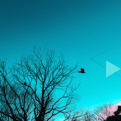 Wind Point Front Cover