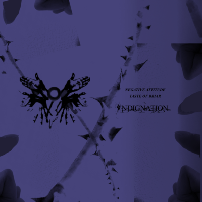 NEGATIVE ATTITUDE / TASTE OF BRIAR Front Cover