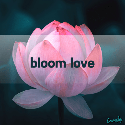 bloom love Front Cover