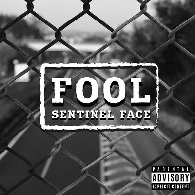 FOOL Front Cover