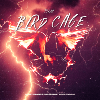 BIRD CAGE Front Cover