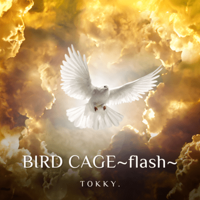 BIRD CAGE ~flash~ Front Cover