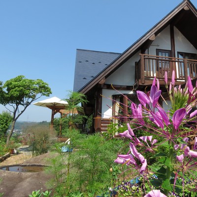 いのりのゆびわのジャケット写真